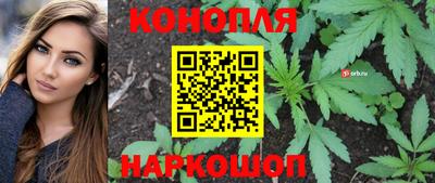 крисы Мариинск